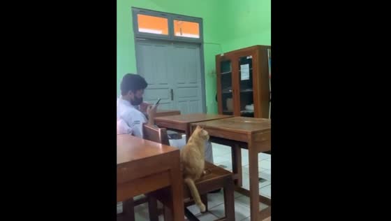 Cat casually enters classroom and sits during lesson in South Jakarta, Indonesia
