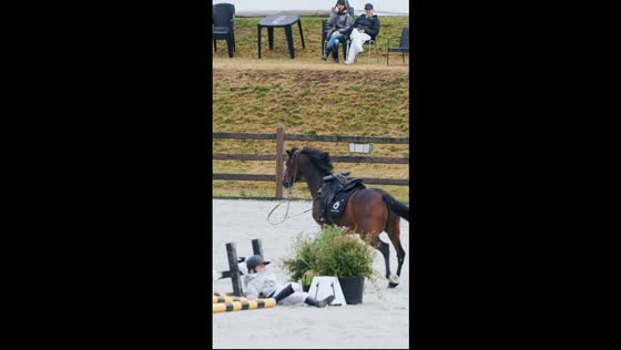 Equestrian falls during show jumping in Skanderborg, Denmark