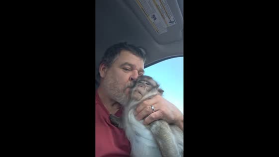 Man bonds with macaque monkey inside car in Oolitic, Indiana, USA