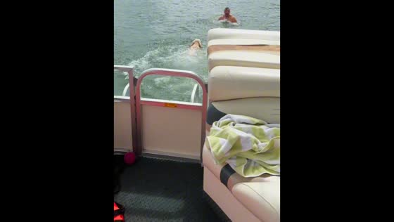 Dog adorably jumps into the lake to follow its owner in Michigan, USA