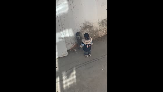 Dog stands on two feet while being scolded in Tibet, China
