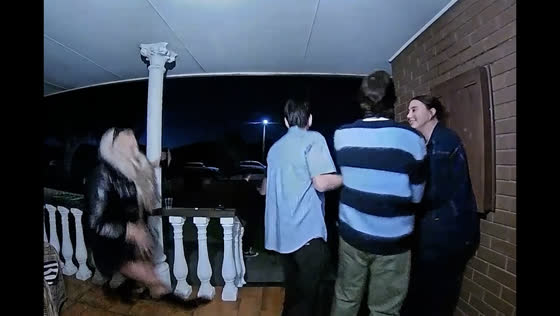 Friend slips on porch as friends rush to help