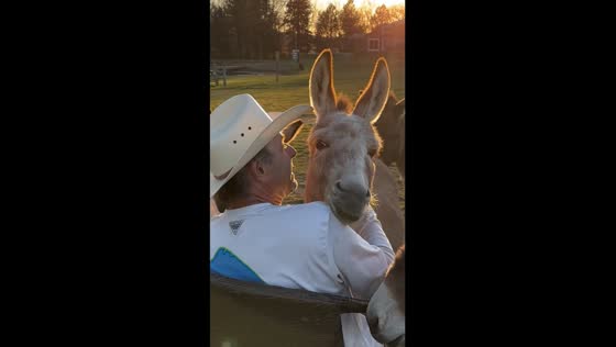 Heartwarming Tennessee Whiskey serenade with Reilly and the donkeys