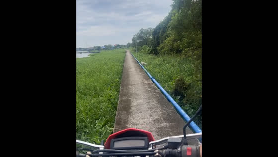 Motorcyclist records unexpected dog jump into plantation in Bangkok