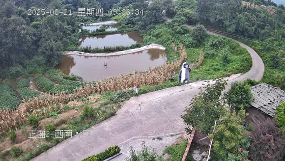 Car rolls backward down hillside in Sichuan, China