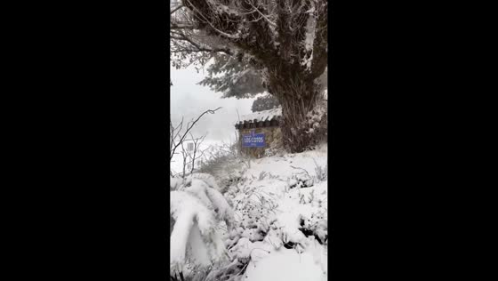 Nearly 6 inches of snowfall blanket the landscape in Madrid, Spain