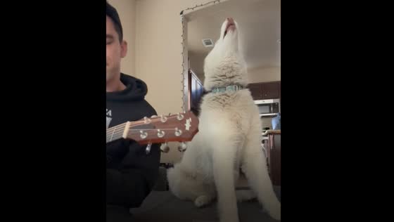 Dog joins in as guitar and vocals fill the air in Oceanside, California