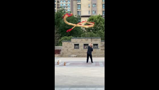 Cats captivated by dragon dance rehearsal in Shaanxi, China