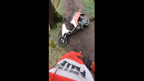Scooter misadventure: forest breakdown