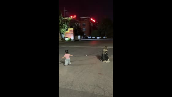 Little girl struggles to walk stubborn dog in Henan, China