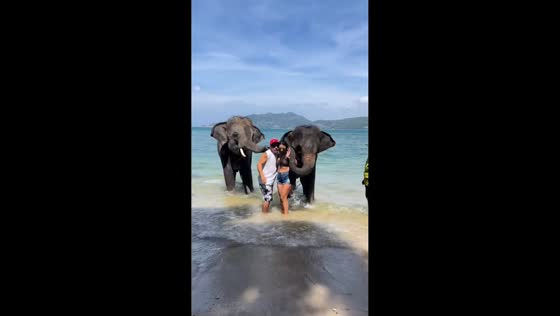 Playful elephant startles tourist during photo session in Koh Chang, Thailand