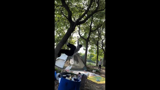 Woman falls while trying to climb tree during camping trip in Shanghai, China