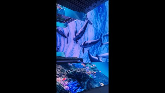 Oceanic splendor: a visual display at Inspire Entertainment Resort