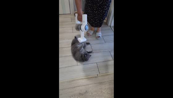 Vacuum delight: Luke Skywalker's purrfect massage session in Moscow!