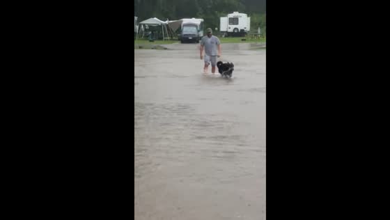 Wisconsin flooding: dedicated owner walks dog through floodwaters