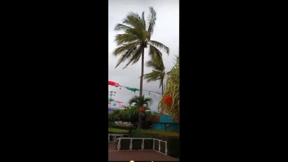 Hurricane Polo brings powerful winds to resort area in Zihuatanejo, Mexico