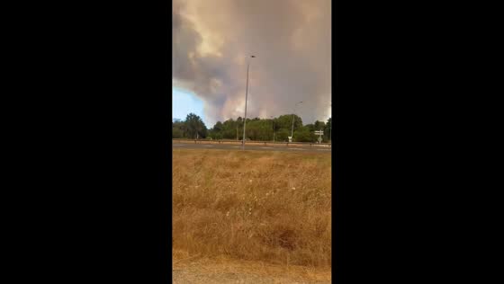 Massive wildfire smoke plume rises over Le Porge, France