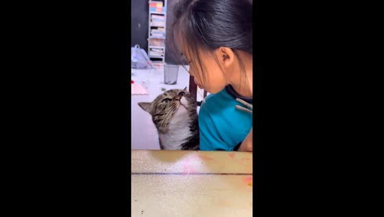 Cat looks sad after being teased with noodles in Beijing, China