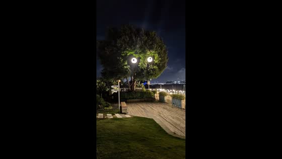 Lanterns make tree look like it has eyes in Guangdong, China