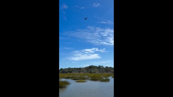 Military helicopter flies over Huntington Beach State Park, Murrells Inlet, USA