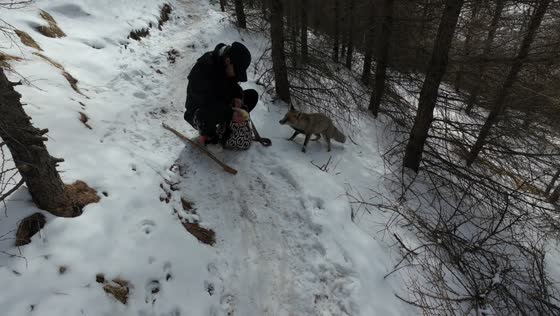 Woman feeds fox during mountain hike in Shanxi, China