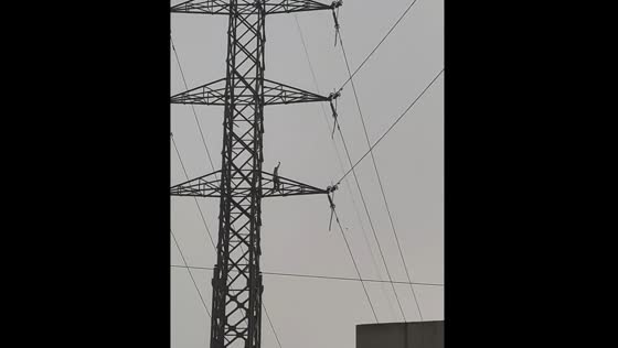 Drunk person climbs electrical transmission tower in Noida, India