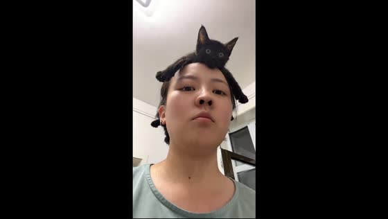 Black cat calmly sits on owner’s head in Tianjin, China
