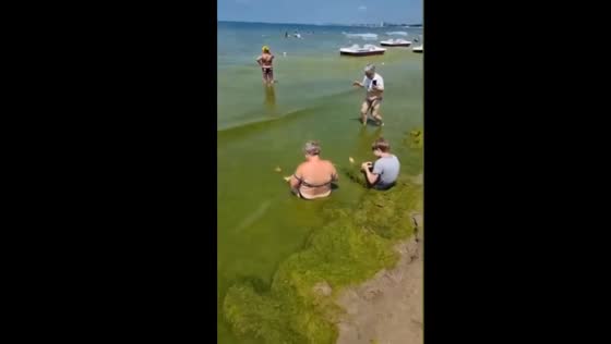 Tourists demand refunds as Anapa beaches flooded with algae
