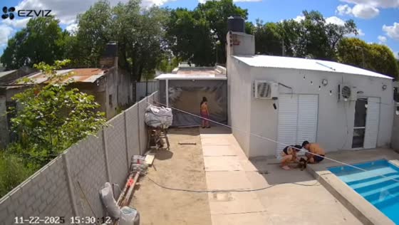 Dog suffering heatstroke in Reconquista, Santa Fe, Argentina