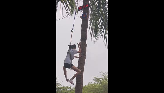 Girl quickly climbs coconut tree during race in Hainan, China