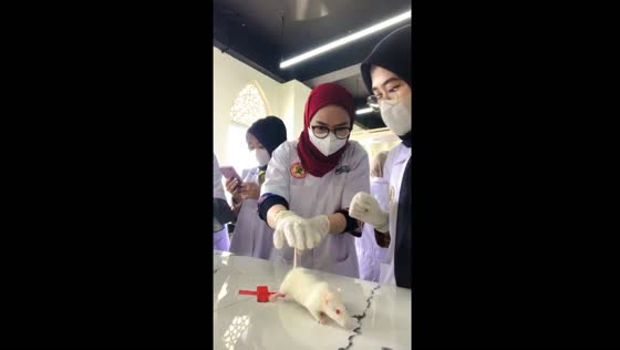Students practice lab rat handling: balancing act with screams