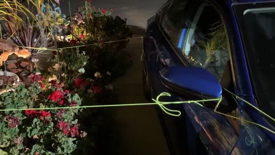 Securing potted palm trees during storm in San Jose, California, USA