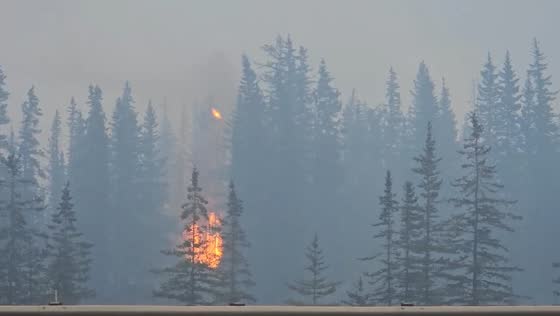 Massive wildfire engulfs Jasper National Park, Alberta