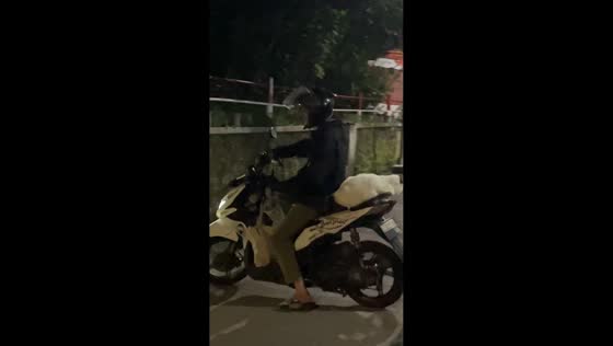 Cat takes a ride on motorcycle in Bandung, Indonesia