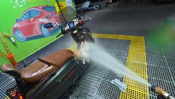 Corgi enjoys getting sprayed with water during a motorcycle wash in Henan, China