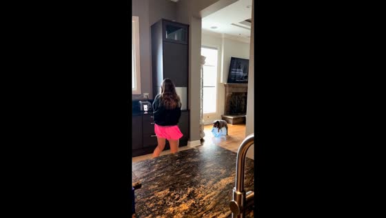 Little girl dances as dog steals the show in Illinois, USA