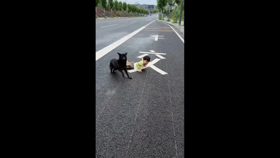 Boy and dog tumble together during playful chase in Chongqing, China
