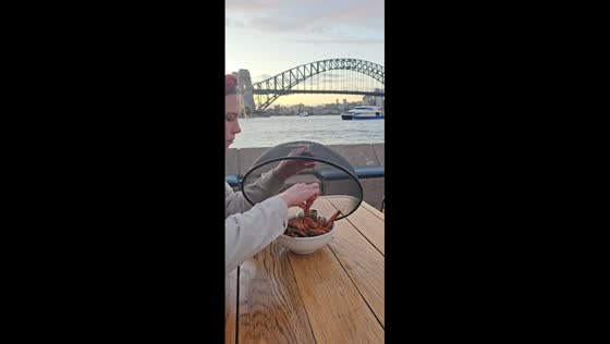 Seagull-proofing food in Sydney