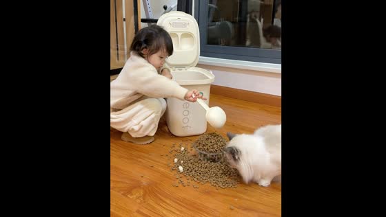 Child overfills cat's bowl with food in heartwarming video
