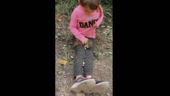 Girl bitten by squirrel while feeding them in Sault Ste. Marie