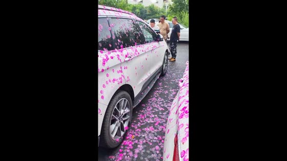 Vehicles stained by wet pink flower petals in Heilongjiang, China