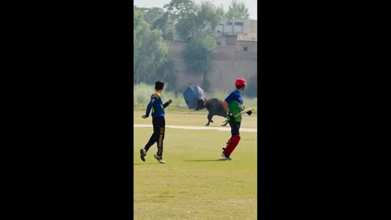 Bull interrupts game and chases people in Peshawar, Pakistan