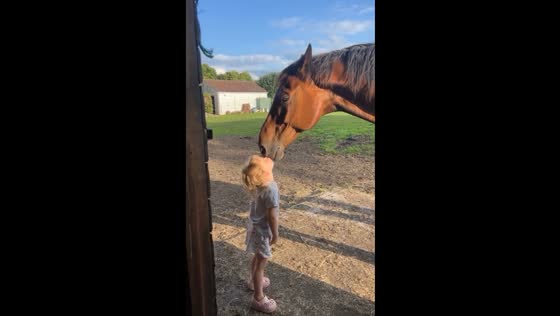 Child and horse share heartwarming interaction in Somerset