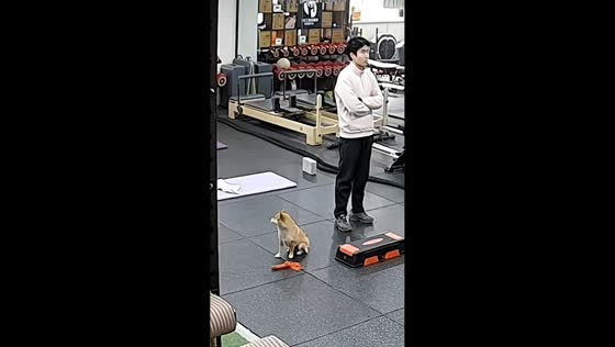 Man accidentally bumps dog in gym, startling it in Zhejiang, China