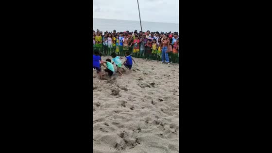 Palarong Bayan duck-catching contest in Cabugao, Ilocos Sur, Philippines