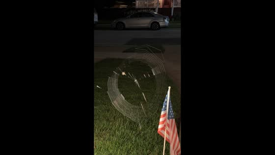 Spider builds intricate web overnight in Evergreen Park, Illinois, USA