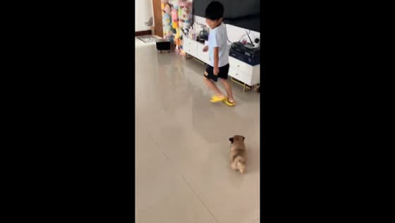 Boy and playful puppy run around living room in Jiangsu, China