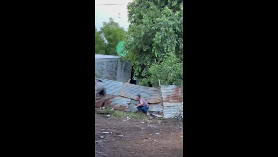 Horse crashes into fence, throwing rider to the ground in Sonsonate, El Salvador