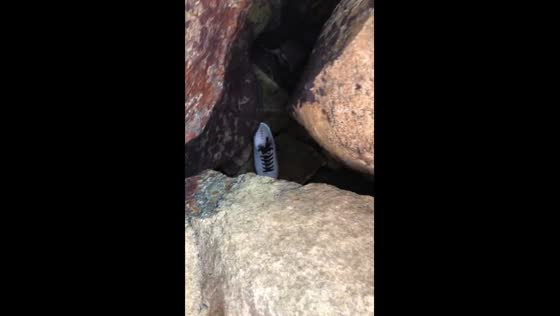Shoe rescued from rocks and thrown cack into sea