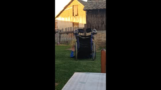 Wheelchair stunt attempt ends in tumble